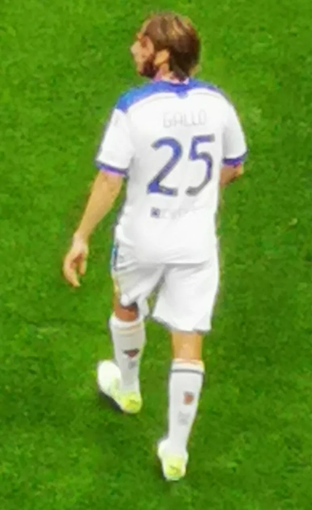 Antonino Gallo