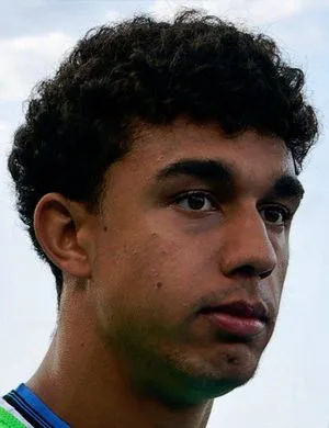 Dominic Vavassori
