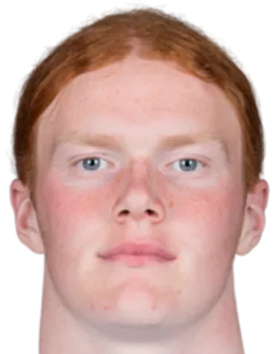 Elvis Van Der Laan