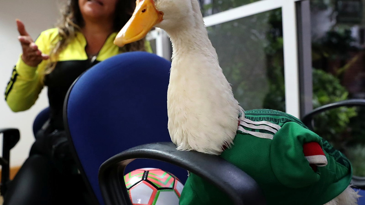 Third-Place Table Turns World Cup Final Days Into a Risk Calculation image 2