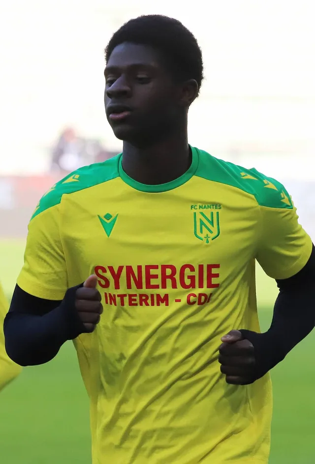 Herba Guirassy