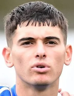 Luca Lipani