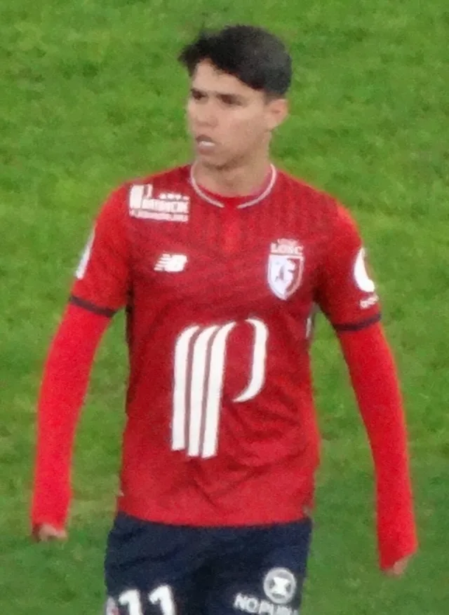 Луис Араужу