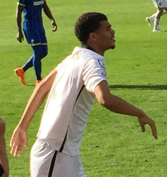 Mawouna Amevor