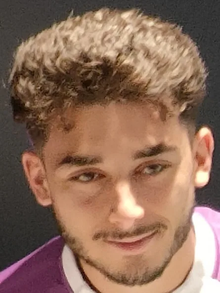 Raúl Moro