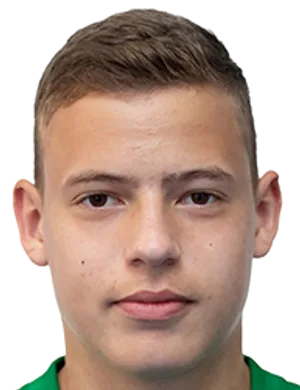 Vladyslav Krapyvtsov