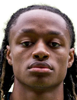 Yvandro Borges Sanches